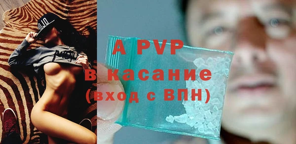 ECSTASY Балахна